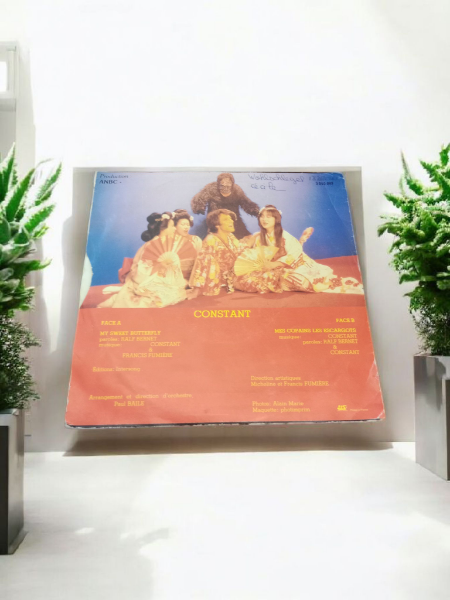 Vinyle 45 tours