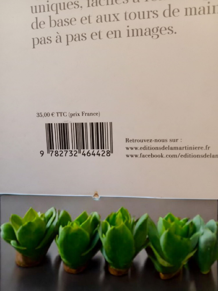 Livre Pierre Hermé Macaron