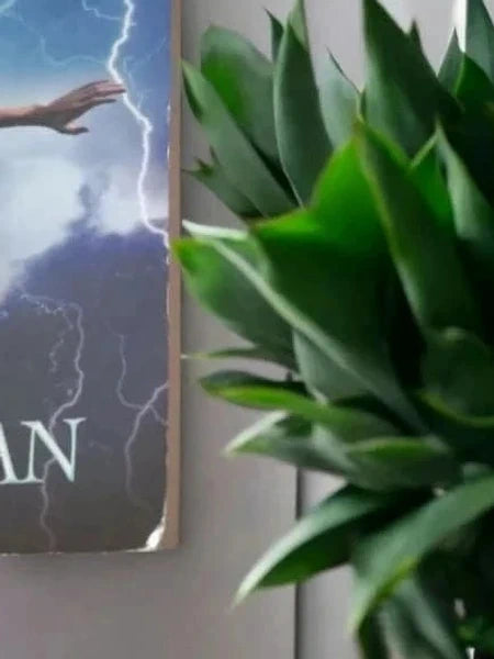Percy Jackson, Tome 1 : Le Voleur de foudre – Rick Riordan – Le Livre de Poche Jeunesse –
