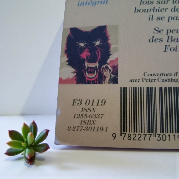 Livre Sherlock Holmes Le chien des Baskerville