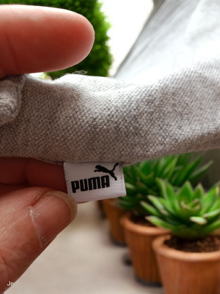 Polo Puma