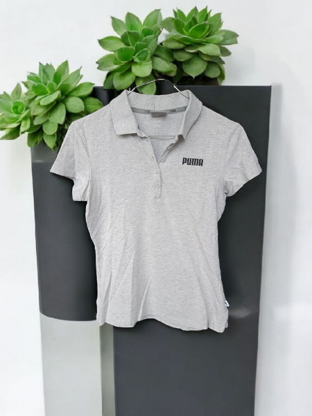 Polo Puma