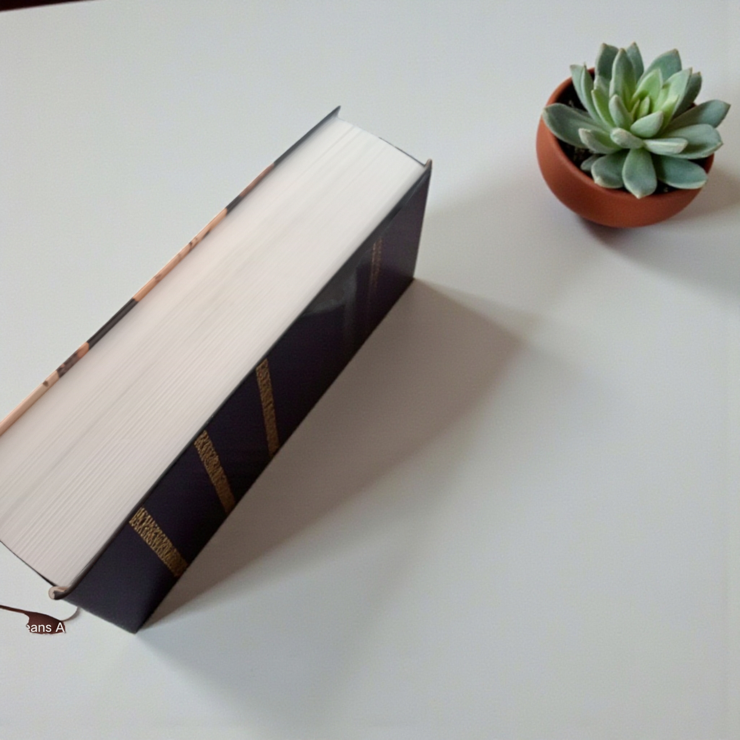 Livre Agatha Christie Rdv avec la mort