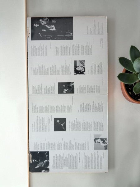📻 Vinyle 33 Tours Rare – Annie & Didier Dégremont (1976)