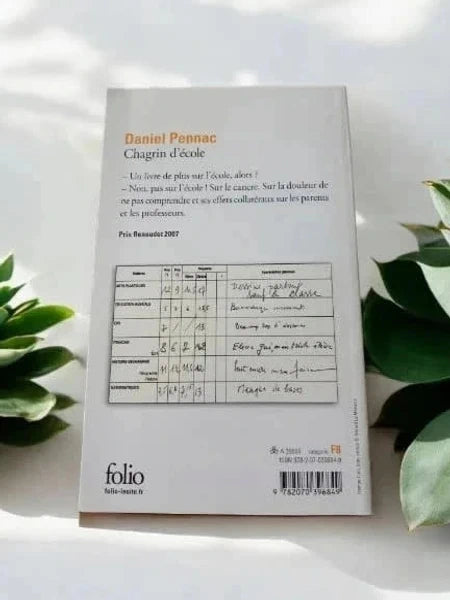 Chagrin d'école – Daniel Pennac – Éditions Folio (Poche)