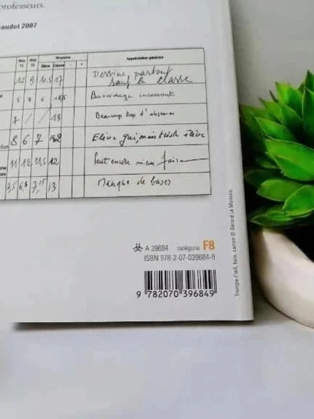 Chagrin d'école – Daniel Pennac – Éditions Folio (Poche)