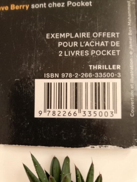 Thriller "L'Héritage Malone" - Steve Berry