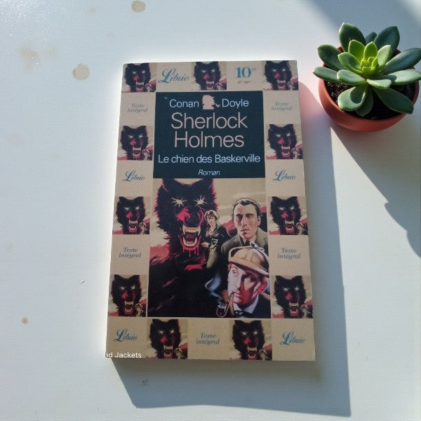 Livre Sherlock Holmes Le chien des Baskerville