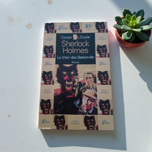 Livre Sherlock Holmes Le chien des Baskerville