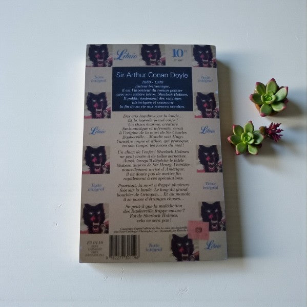Livre Sherlock Holmes Le chien des Baskerville