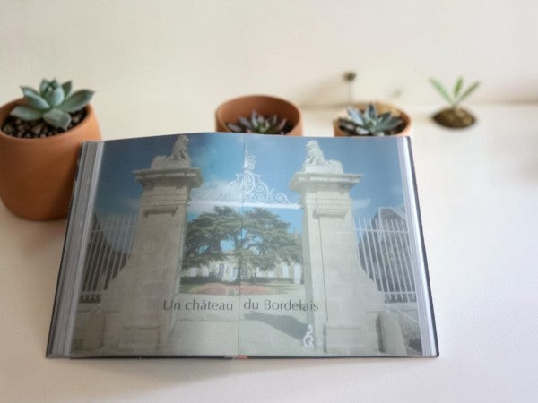 Livre "L'univers du vin" - Jens Priewe (Édition reliée, 1999)