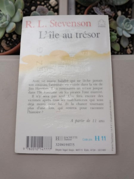 Livre "L'île au trésor" - R. L. Stevenson (Édition Hachette Jeunesse, 1989)