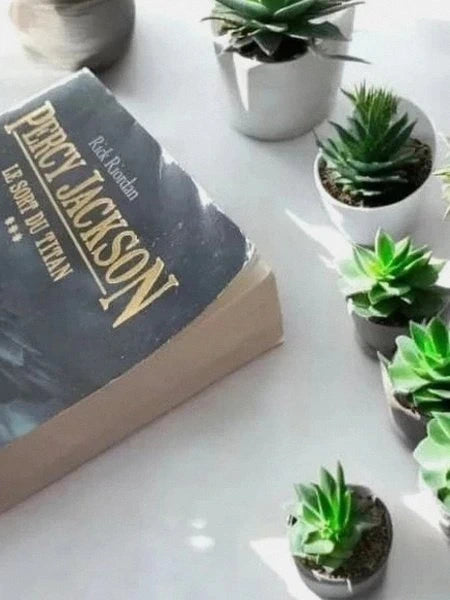 Percy Jackson - Tome 3 : Le Sort du Titan - Rick Riordan